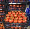 Sprzedam pomidory na markety, kraj pochodzenia Turcja, cialy samochod 17 t, dostawa do Polski. 