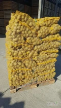 Sprzedam ziemniak z chłodni ok 200 ton op. 15 kg wiązane na paletach.