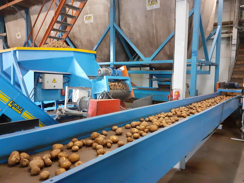 Przed Potato Poland 2020 - Federacja Ziemniaka współpracuje z Łotwą