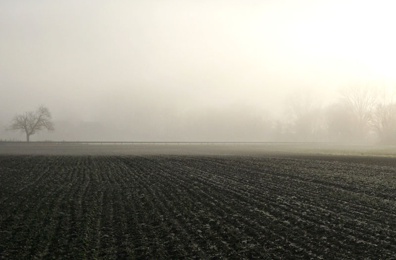 Jakie ceny gruntów rolnych?