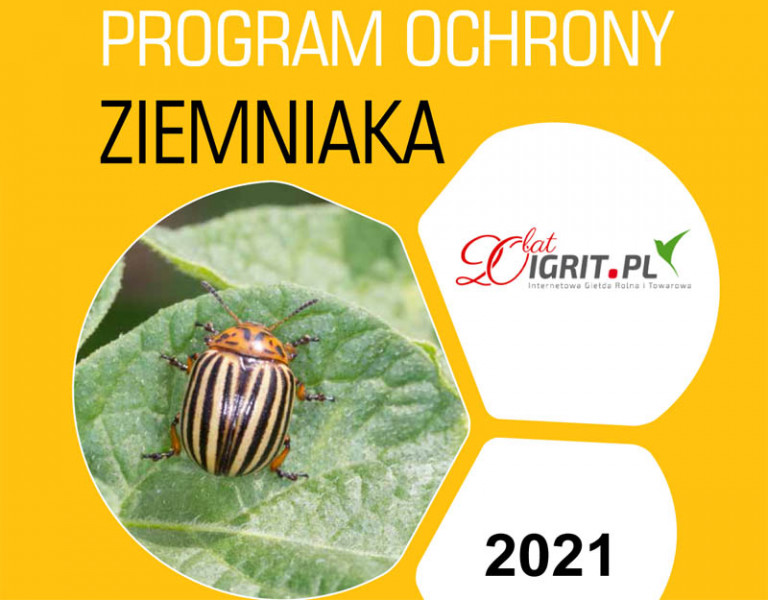 Program ochrony ziemniaka - nasz prezent dla producentów i nie tylko
