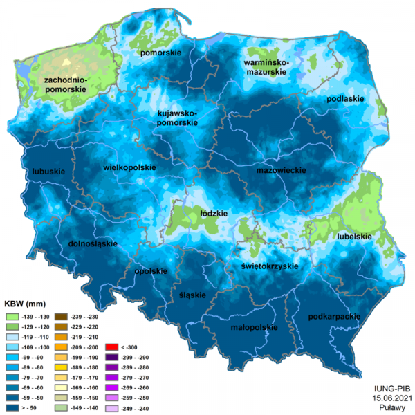 IUNG: zagrożone suszą są zboża jare