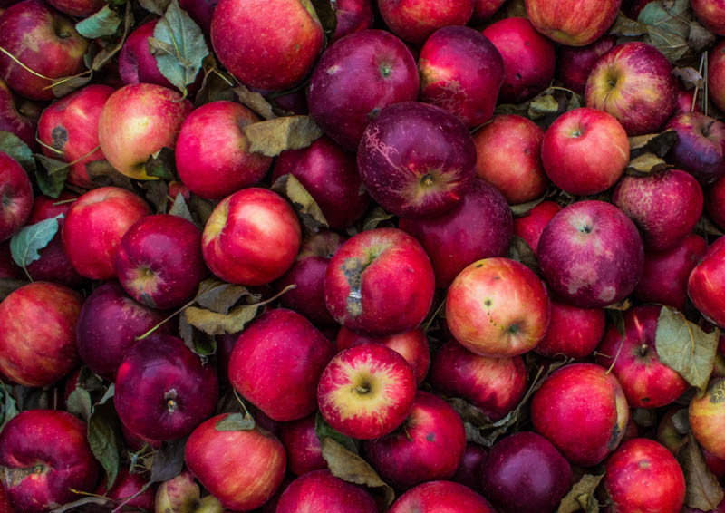 Białoruś gwałtownie zwiększa import jabłek z Ukrainy