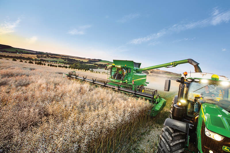 KZPRiRB: Rzepak trzyma cenę