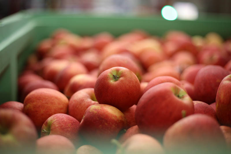 Ukraina pokonała Polskę i Włochy na rynku świeżych jabłek w Etiopii