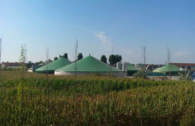 Biogaz zastąpi gaz ziemny, a słoma węgiel?