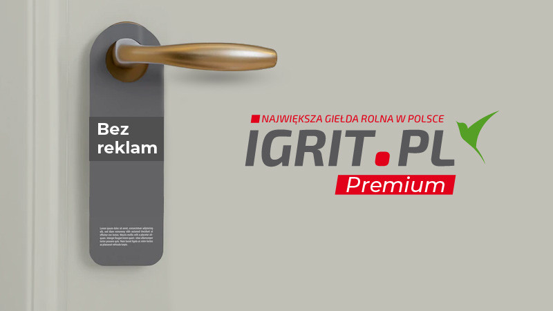 IGRIT Premium - cała giełda bez reklam