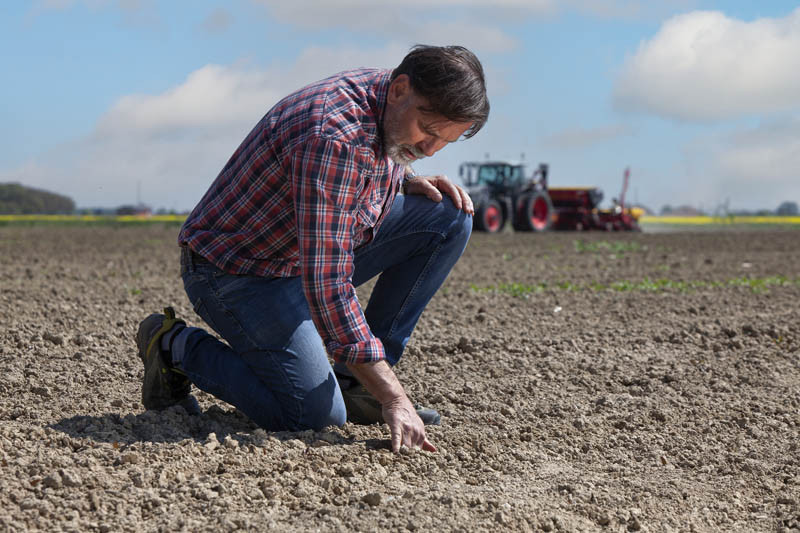 Wszystko zaczyna się od gleby