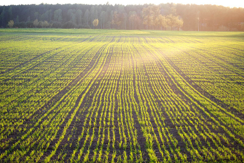 IMGW: deszczowy marzec, ciepły maj...