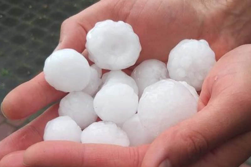 Gdzie można ubezpieczyć się od gradu?