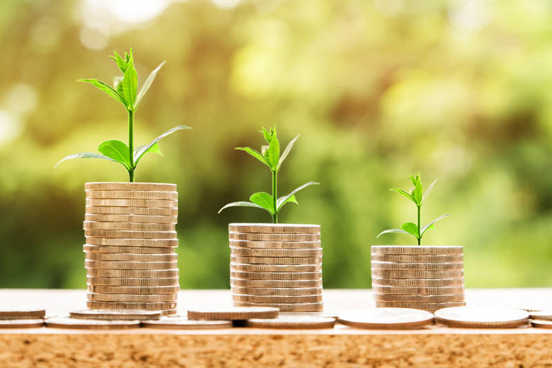 Ceny w skupach w październiku'23 były niższe niż przed rokiem