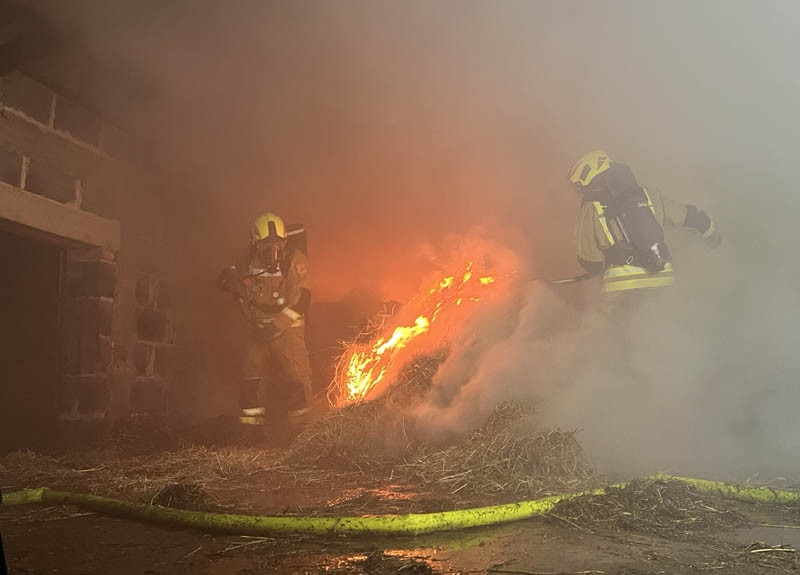 W pożarze obory padły zwierzęta. Pies doprowadził do podpalacza