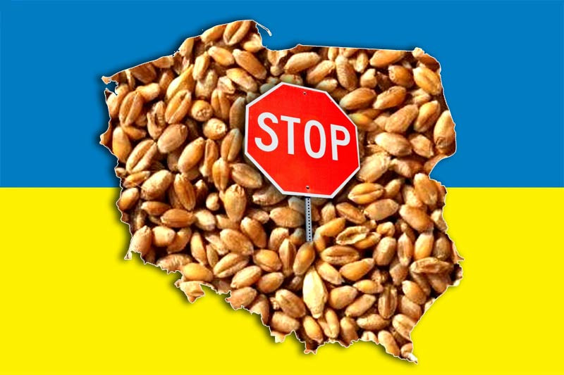 Rolnicy sami chcą kontrolować towary z Ukrainy