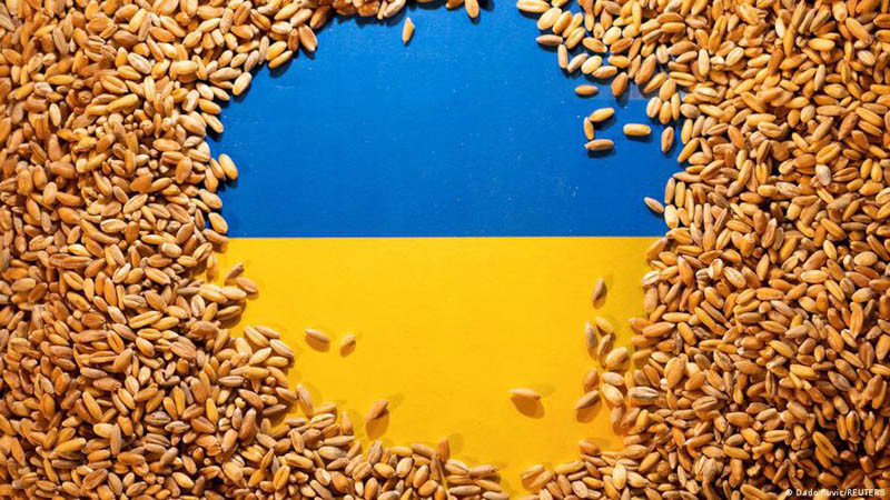 Minister rolnictwa Ukrainy: sprawę rozstrzygnie sąd