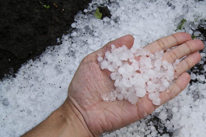 Jak zgłosić wystąpienie siły wyższej w gospodarstwie? ARiMR pomoże!