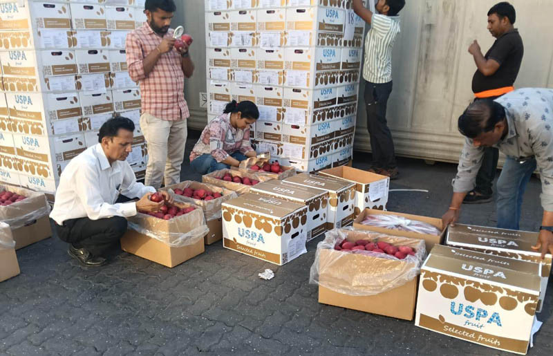 Ukraińskie jabłka pojechały do Indii