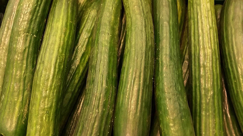 Duży import ogórków z Rosji. IJHARS sprawdza czy wszystko w porządku.