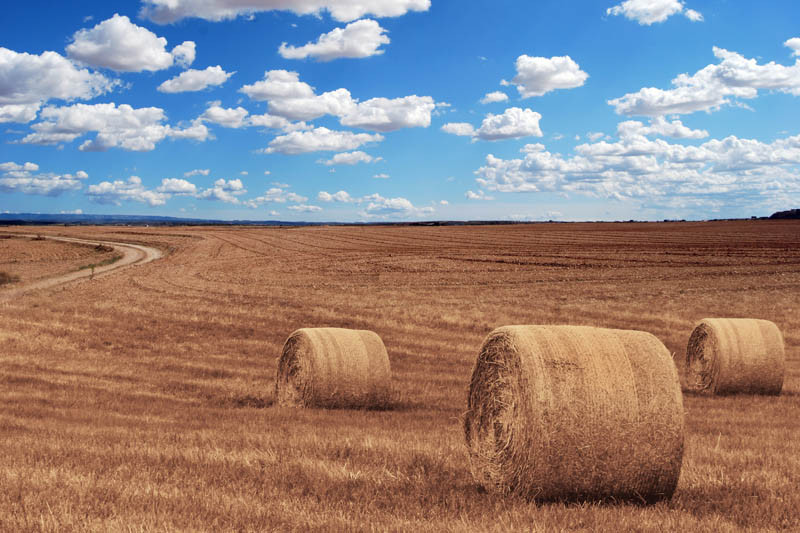 IMGW: lato będzie upalne...