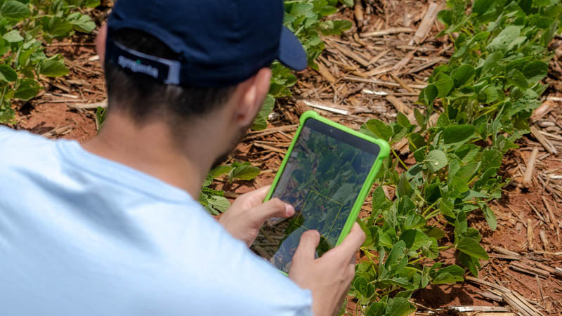 Cyfrowa rewolucja w rolnictwie: dane kluczem do sukcesu gospodarstw