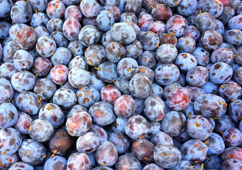 Śliwka tania czy droga? - ceny na rynkach hurtowych