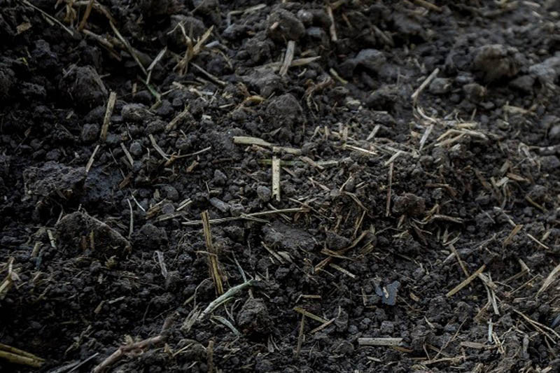 Ankieta IUNG dotycząca zdrowia gleby