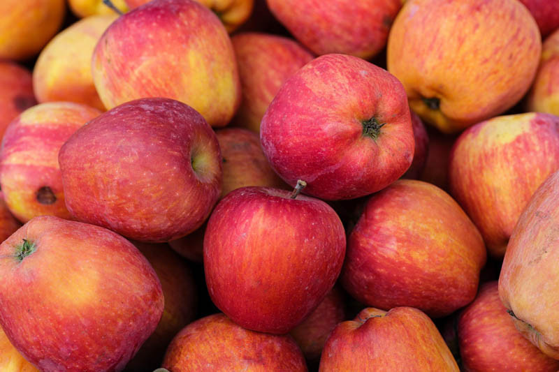 Jabłko: które odmiany są najdroższe na rynkach hurtowych?