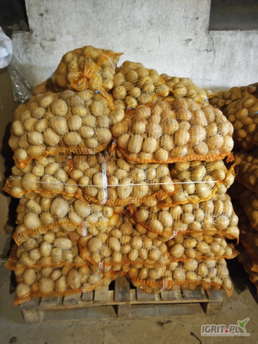 Sprzedam ziemniaki żółte z  jasnej ziemi pakowane po 15 kg. Aktualnie naszykowane jest 163 worki po 15 kg. Cena 17zł/15kg.