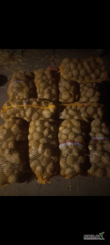Sprzedam ziemniaki odmiana denar i jurek kal 4.5 + żółte w środku bardzo smaczne pakowane w worki 15 kg możliwy transport cena 18 zł...