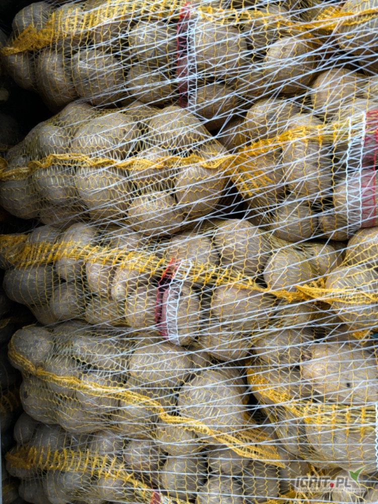 Sprzedam ziemniaki Jurek 45+ z chłodni twardy bez kiełka worek 15kg na palecie lub bigbag możliwość transportu 
