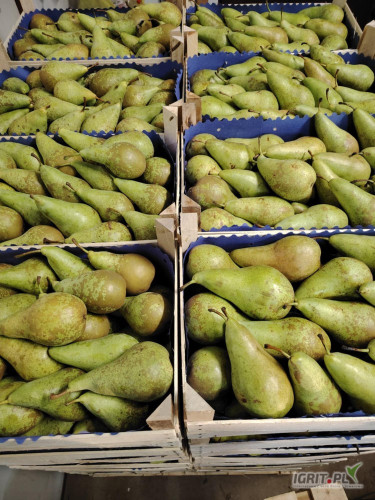 Sprzedam konferencje 6.5+  w luszce na gotowo 3p.i lukasowke. 