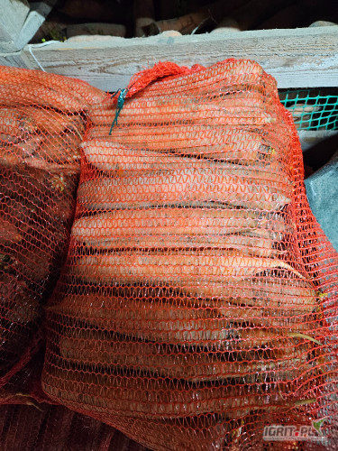 Witam sprzedam marchew układana na brudno bądź sypanke. Worek po 10 kg. 