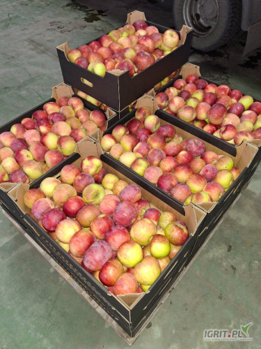 Kortland z KA bez gradu i czekolady za wagę lub naszykuję w dowolne opakowanie 