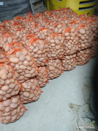 Sprzedam ziemniaka żółtego jadalnego soraya 400 wor gotowe zdrowego z jasnej ziemi. 