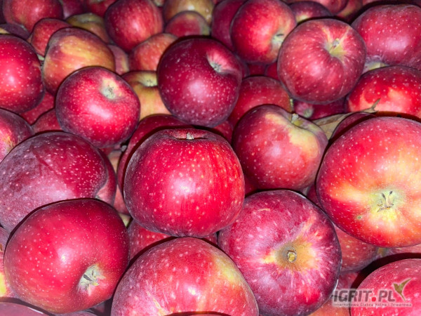 Sprzedam alwę za wagę 602876250