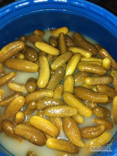 Sprzedam ogorki kiszone 6-12, 12+chrupkie smaczne bardzo dobra jakosc i smak ilosci beczkowe .