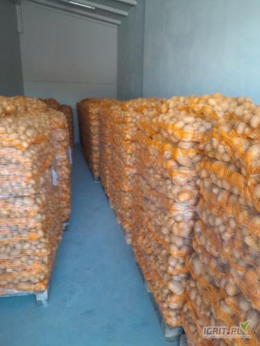 Sprzedam ziemniaki żółte odmiana Soraya pakowane w worek szyty po 10kg lub 15kg, posiadam ilości tirowe.  Sito 5
