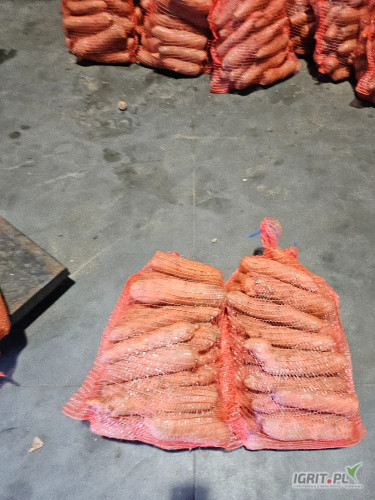 Witam sprzedam marchew gruba Worek 10 kg zapraszam do kontaktu 