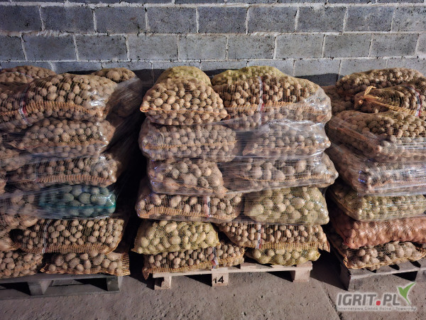 Sprzedam ziemniaki paszowe, bez zgniłych i zanieczyszczeń.  Pakowane w worki 25kg ,cena 0,30gr/kg. Więcej informacji udzielę...