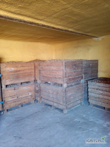 Mam do sprzedania ziemniaki odmiana tajfun kaliber 3-4.5 cm ładne zdrowe. Około 10 ton.