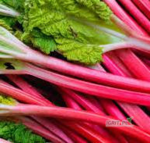 Kupimy rabarbar malinowy, dwustronnie cięty na mrożenie (odcięty liść i piętka).
