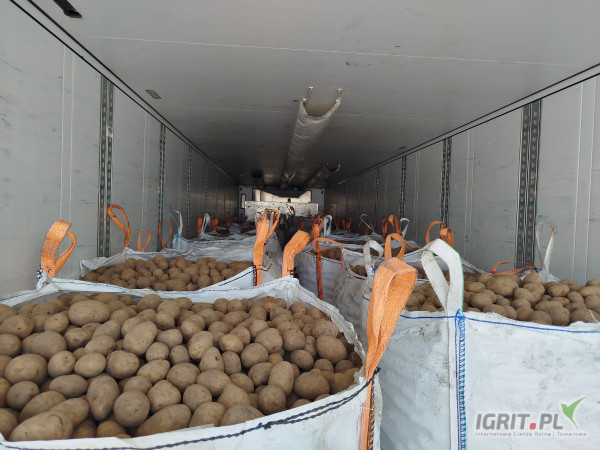 Sprzedam ziemniaki