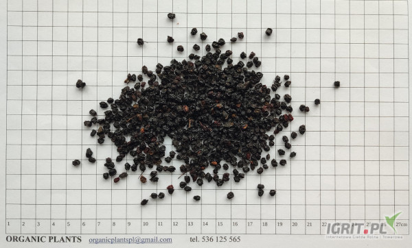 Na sprzedaż posiadamy owoc bzu czarnego, owoc dzikiej róży,owoc głogu, skórka dzikiej rózy. Istnieje możliwość zamówienia innych...