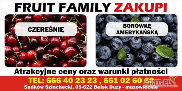 Fruit Family
