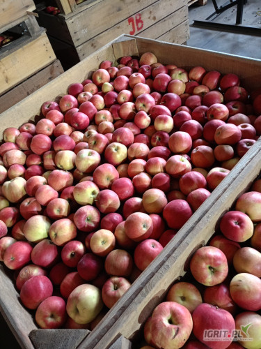 Sprzedam idareda z ka+ sf, 100 ton. Czysty bez gradu, ordzawień za wagę w skrzyni. Komora do otwarcia.