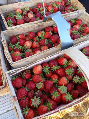 Sprzedam Malwinę,zapraszam do kontaktu.