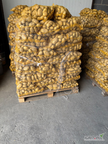 Kupię na piątek do południa 15ton ziemniaków młodych tylko odmiany żółte worek 15kg lub luz w skrzyniach/bigbagach
