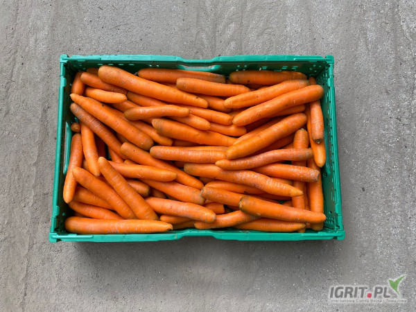 Marhew worek szyty lub folia 5 