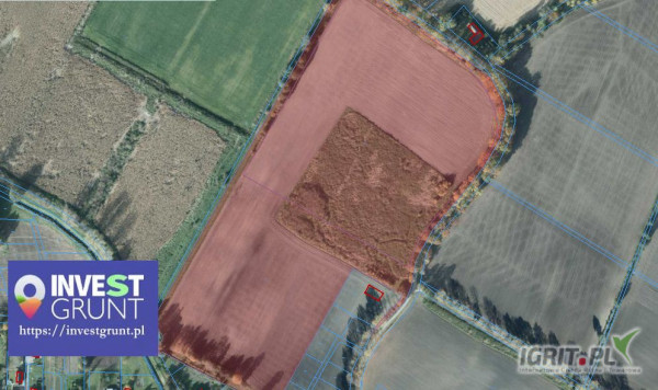 [10,41 ha] grunty rolne przetarg nieograniczony na 3-letnią dzierżawę [powiat cieszyński woj. śląskie] użytek ŁV roczny czynsz...