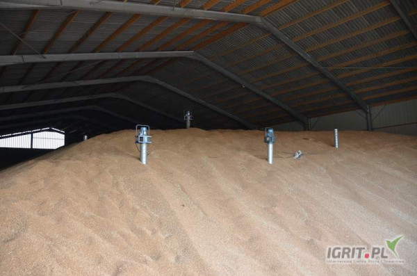 Sprzedam pszenżyto, żyto, owies, pszenicę, jęczmień. Tylko polskie zboże. Możliwość nawiązania dłuższej współpracy. Ilości...