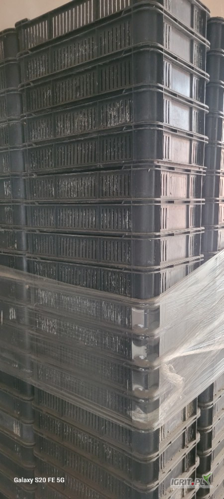 Sprzedam skrzynki plastikowe używane w bardzo dobrym stanie. 340 sztuk.